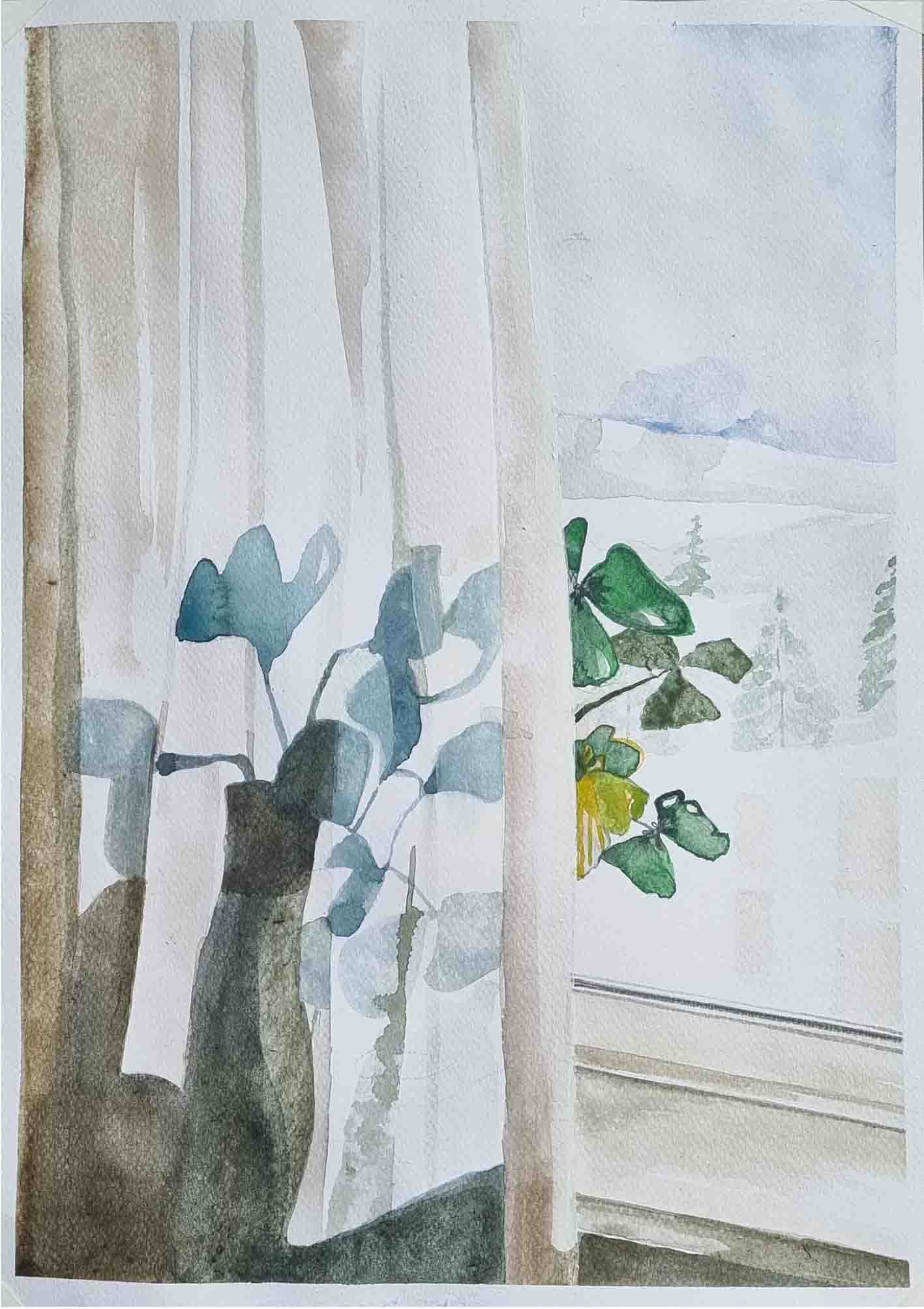 Windows
